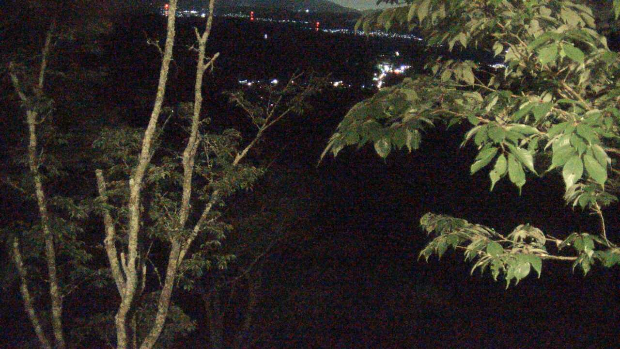 吉野山上千本から望む吉野桜と町並み