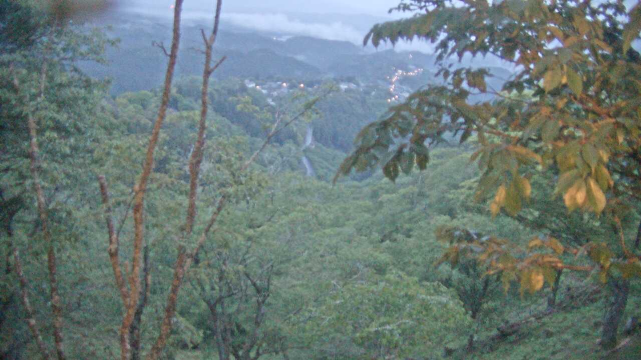 吉野山上千本から望む吉野桜と町並み