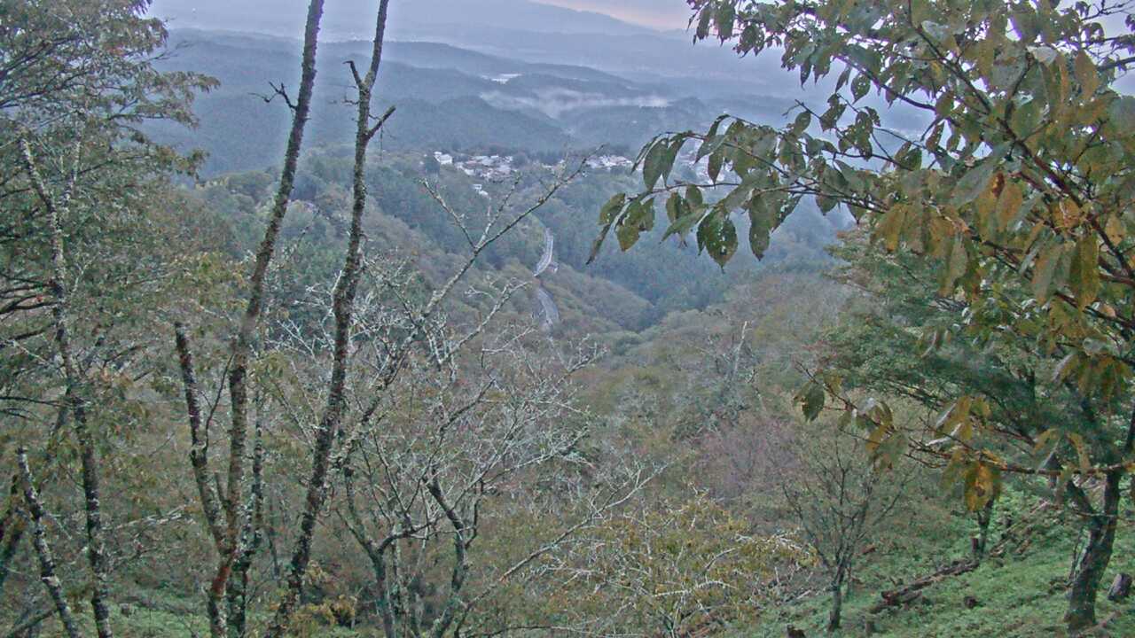 吉野山上千本から望む吉野桜と町並み