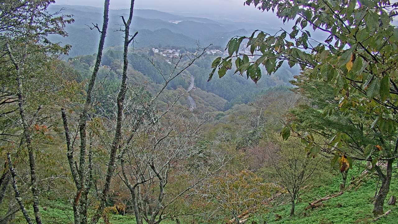 요시노산 가미센본 벚꽃과 마을