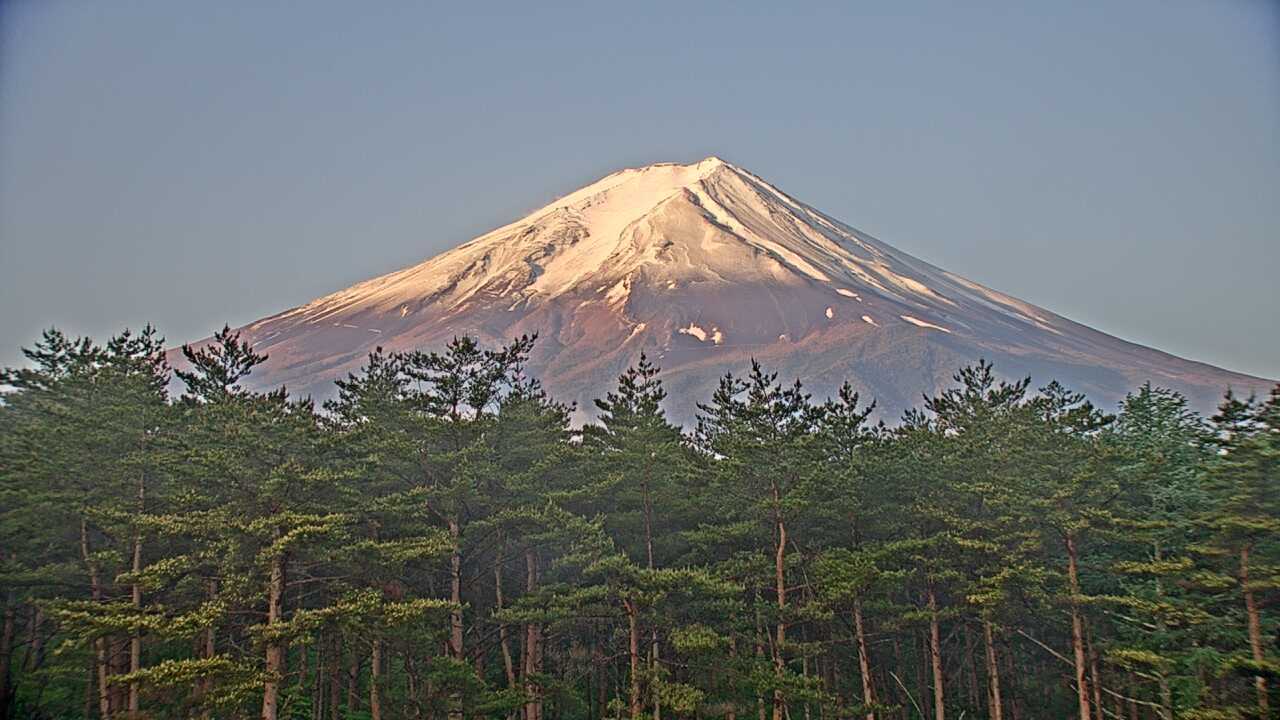 Mt. Fuji as viewed from northern foothills （Biodiverscity Center of Japan, Mnistry of the Environment）