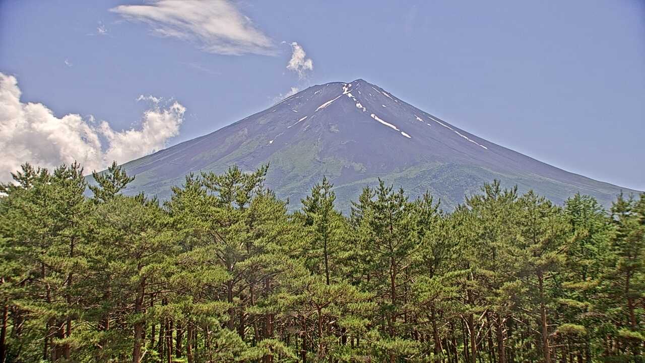富士北麓からみた富士山１（環境省生物多様性センター）