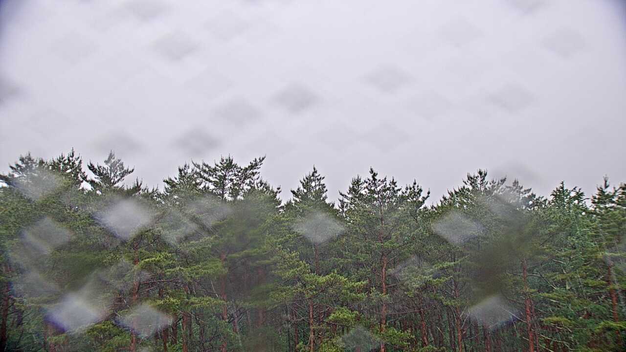 富士北麓からみた富士山１（環境省生物多様性センター）