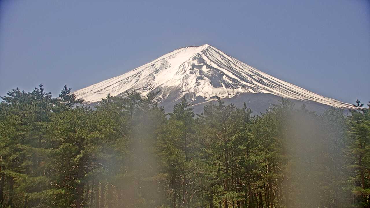 Mt. Fuji as viewed from northern foothills （Biodiverscity Center of Japan, Mnistry of the Environment）