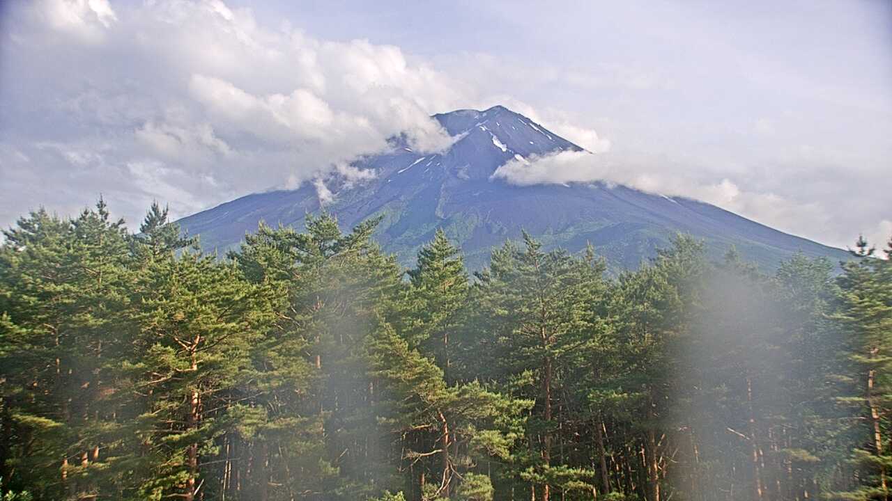 富士北麓からみた富士山１（環境省生物多様性センター）