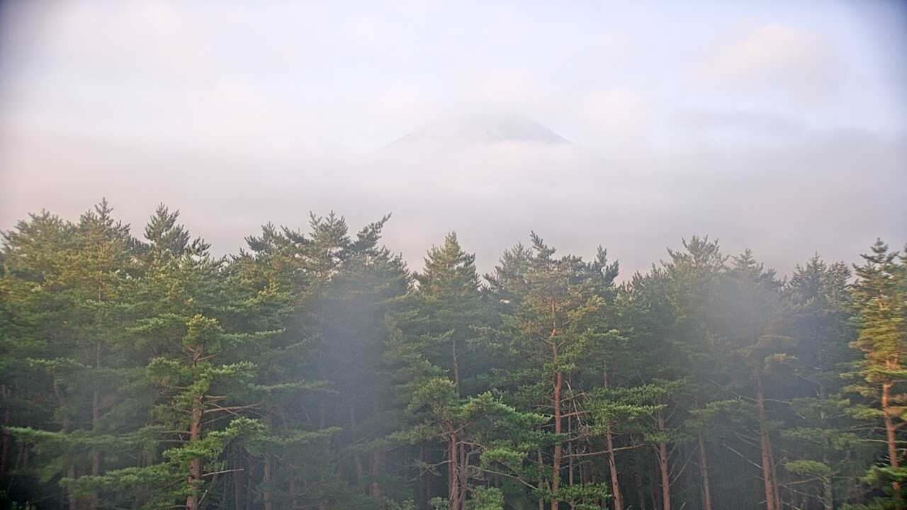 富士北麓からみた富士山１（環境省生物多様性センター）