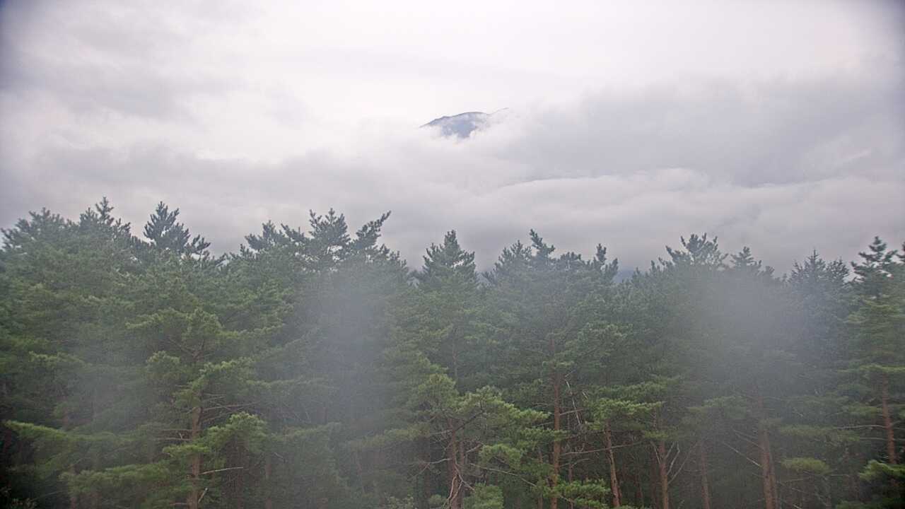 Mt. Fuji as viewed from northern foothills （Biodiverscity Center of Japan, Mnistry of the Environment）
