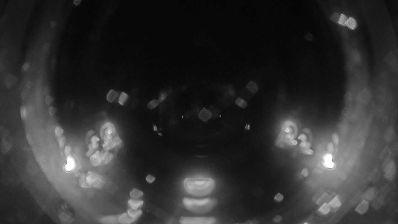 串本海中公園(海中景観)