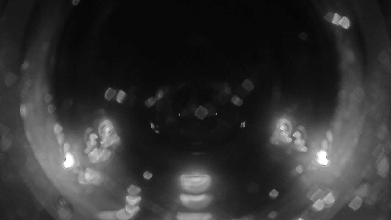 Kushimoto Marine Park (Underwater Landscape)