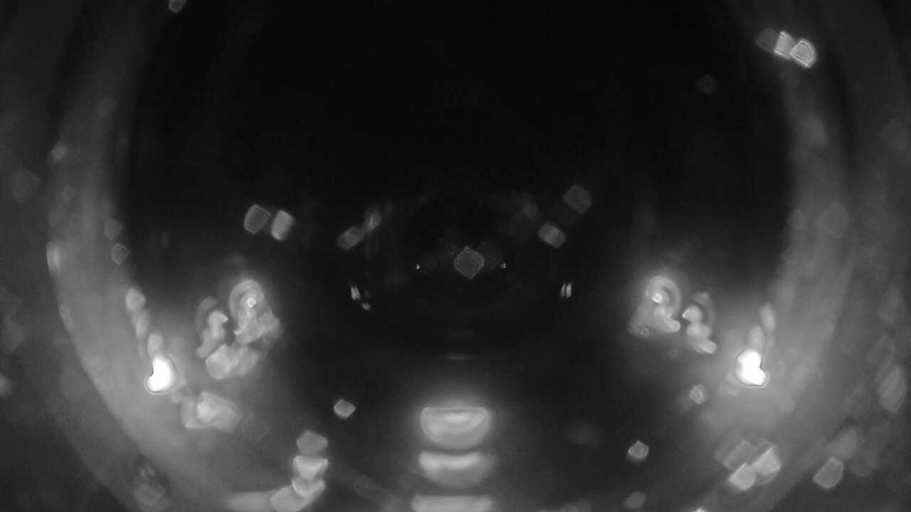 串本海中公園(海中景観)