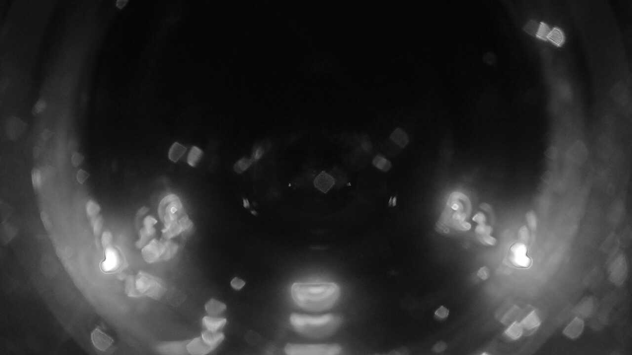 串本海中公園(海中景観)