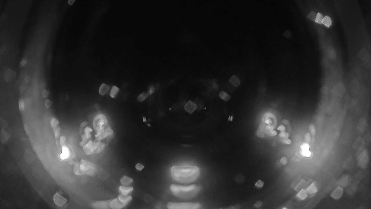 串本海中公園(海中景観)