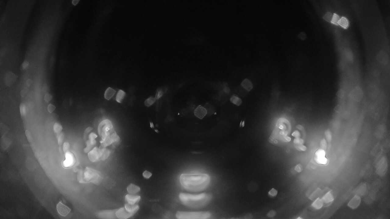 串本海中公園(海中景観)