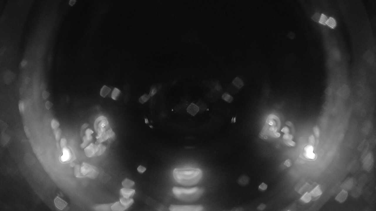 串本海中公園(海中景観)