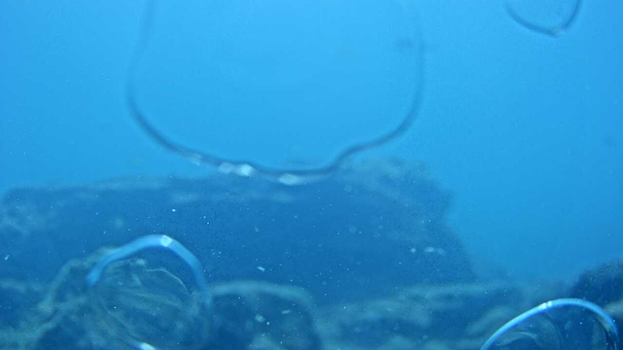串本海中公園(海中景観)