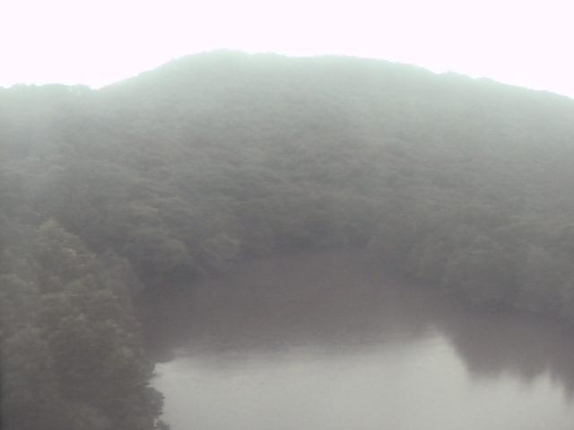 Mangroves in Iriomote Island