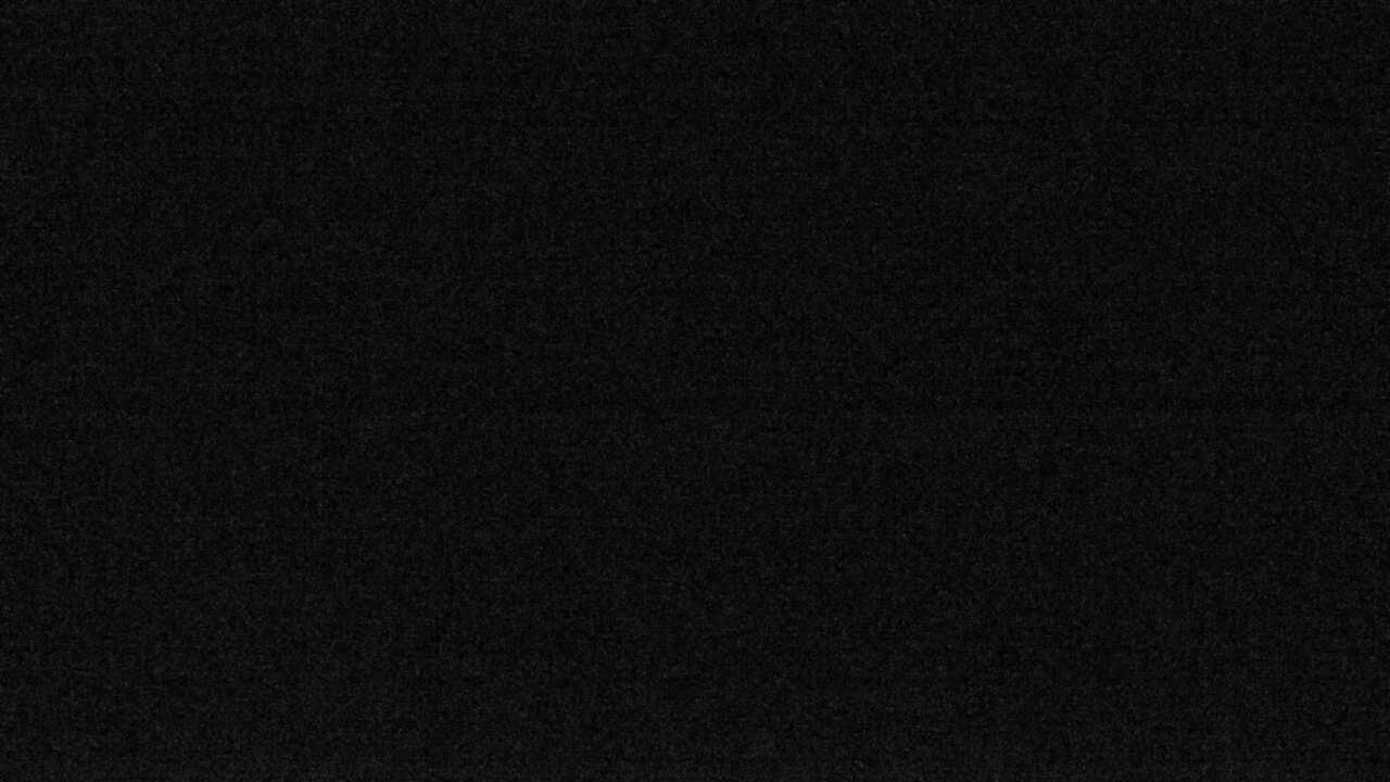 ツシマヤマネコ（福岡市動物園）