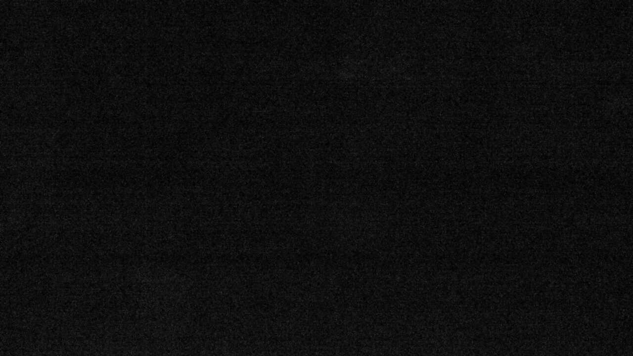 ツシマヤマネコ（福岡市動物園）