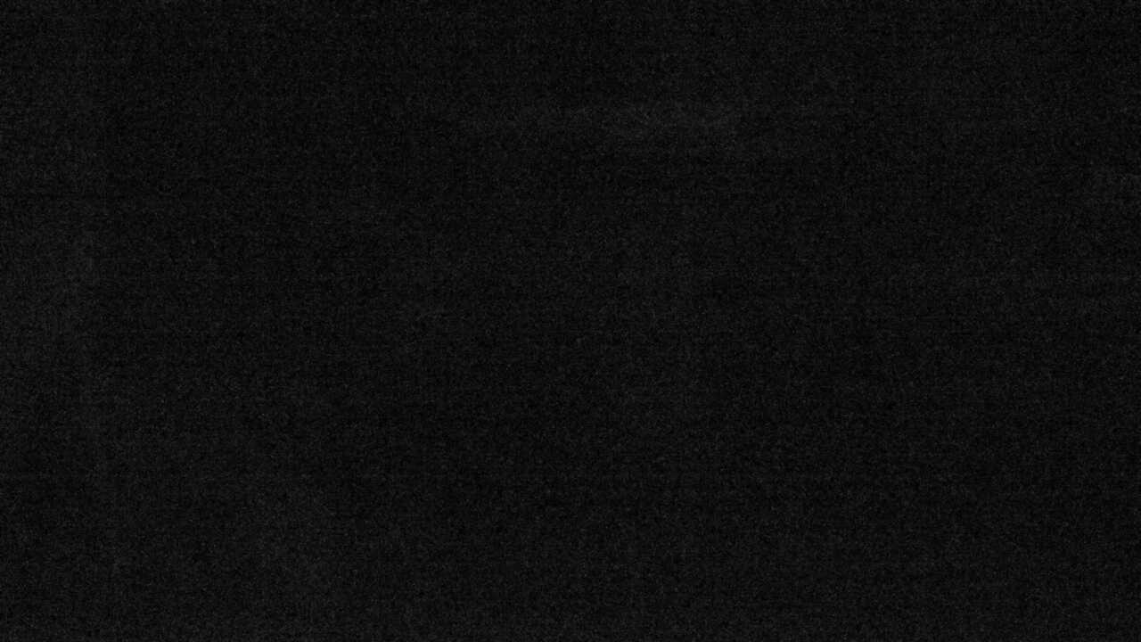 ツシマヤマネコ（福岡市動物園）