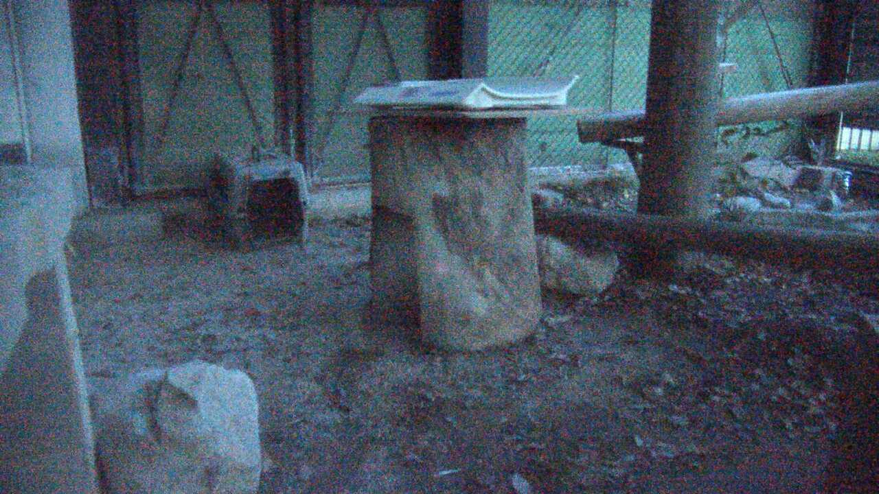 Tsushima Leopard Cat（Fukuoka City Zoological Garden）