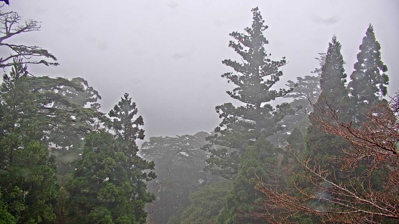 Mountains in Yakushima Island
