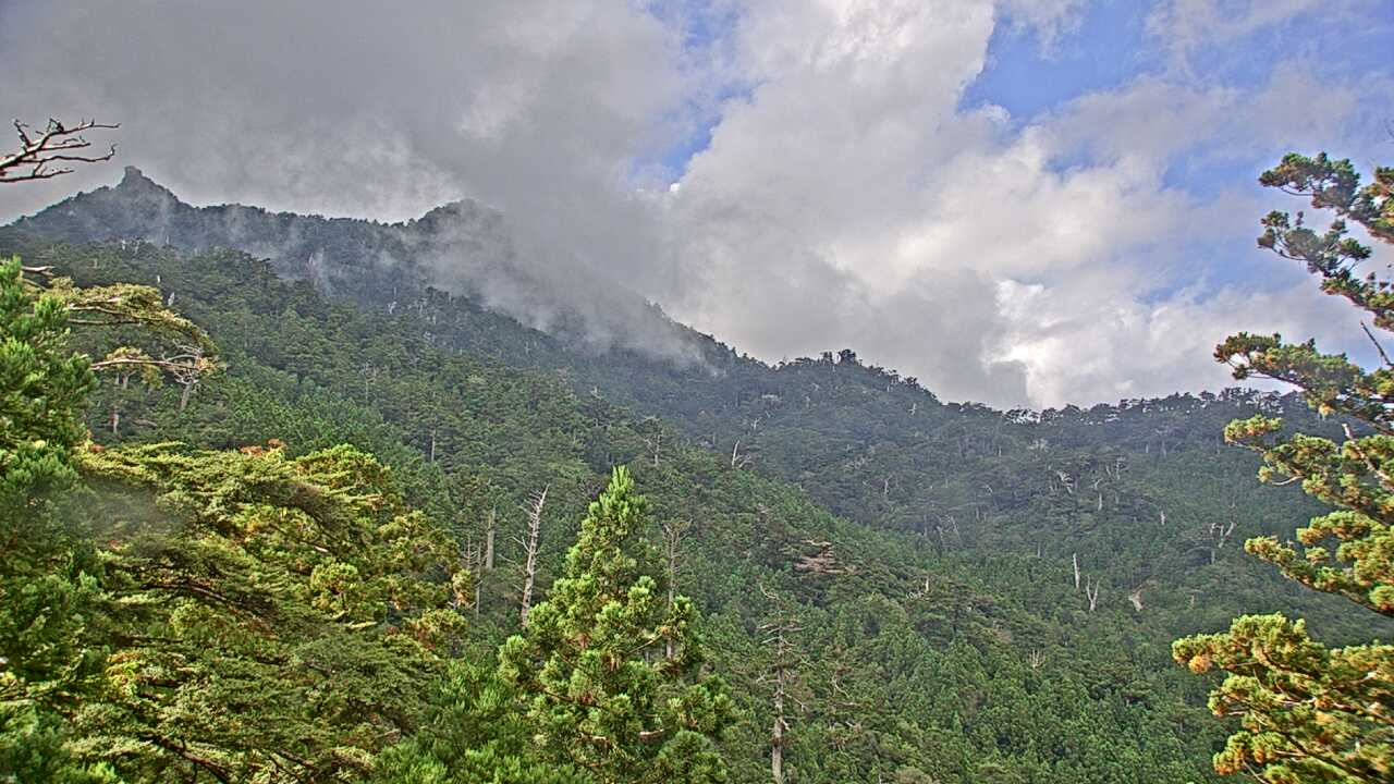 屋久島の山々