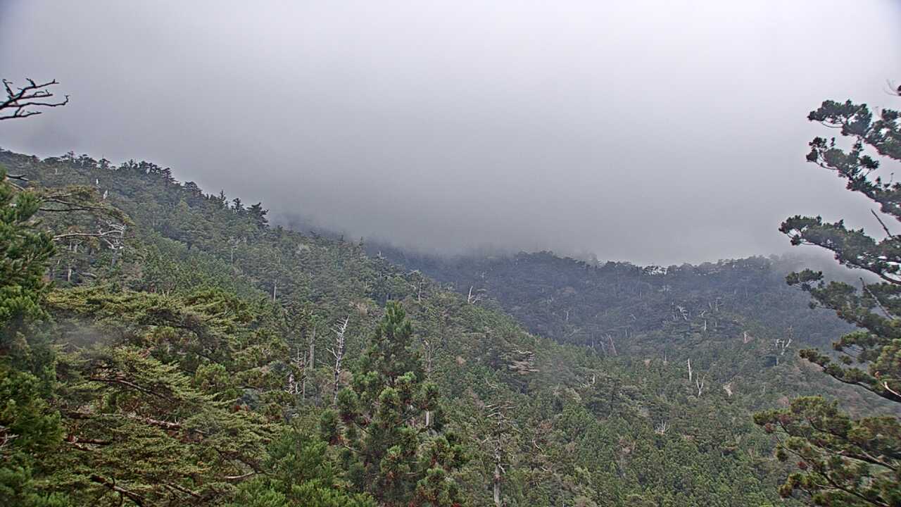 Mountains in Yakushima Island