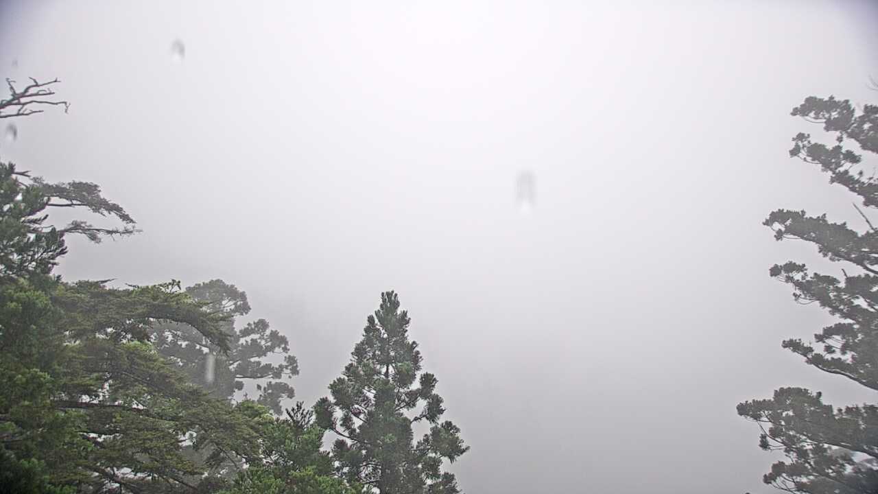 Mountains in Yakushima Island