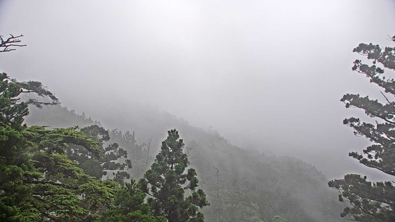 Mountains in Yakushima Island