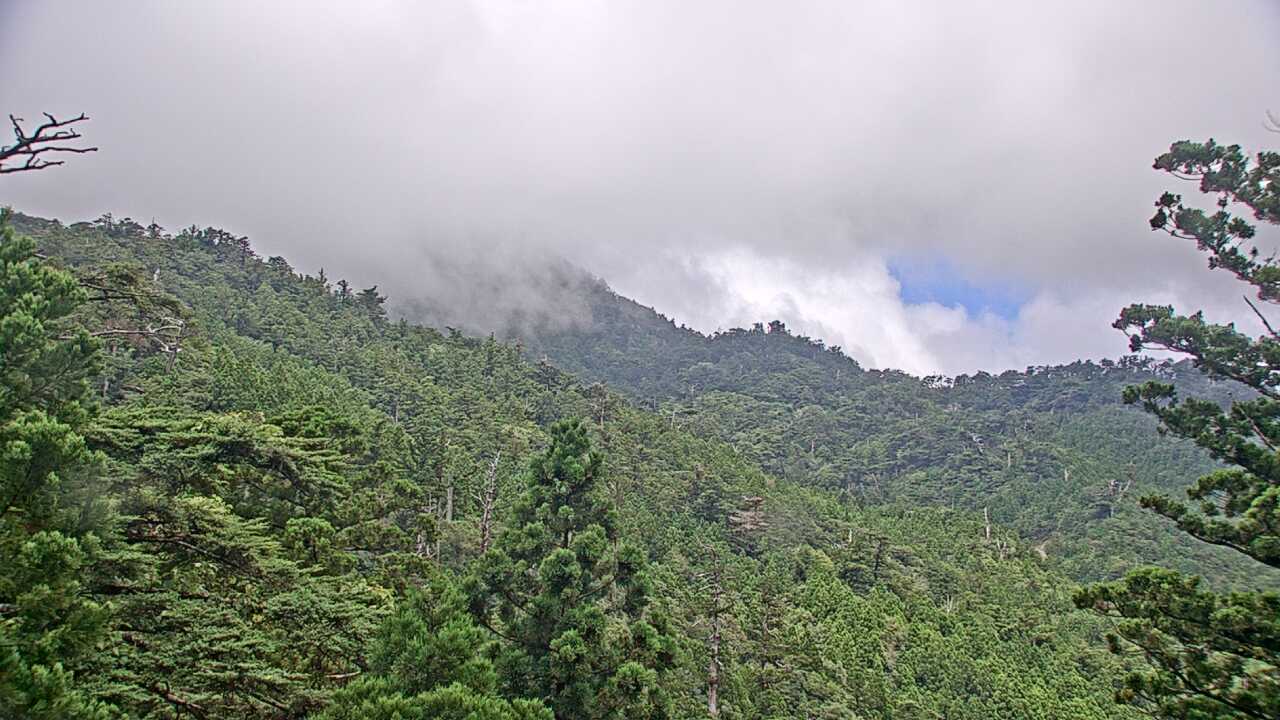 Mountains in Yakushima Island