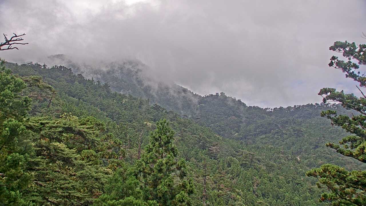 Mountains in Yakushima Island