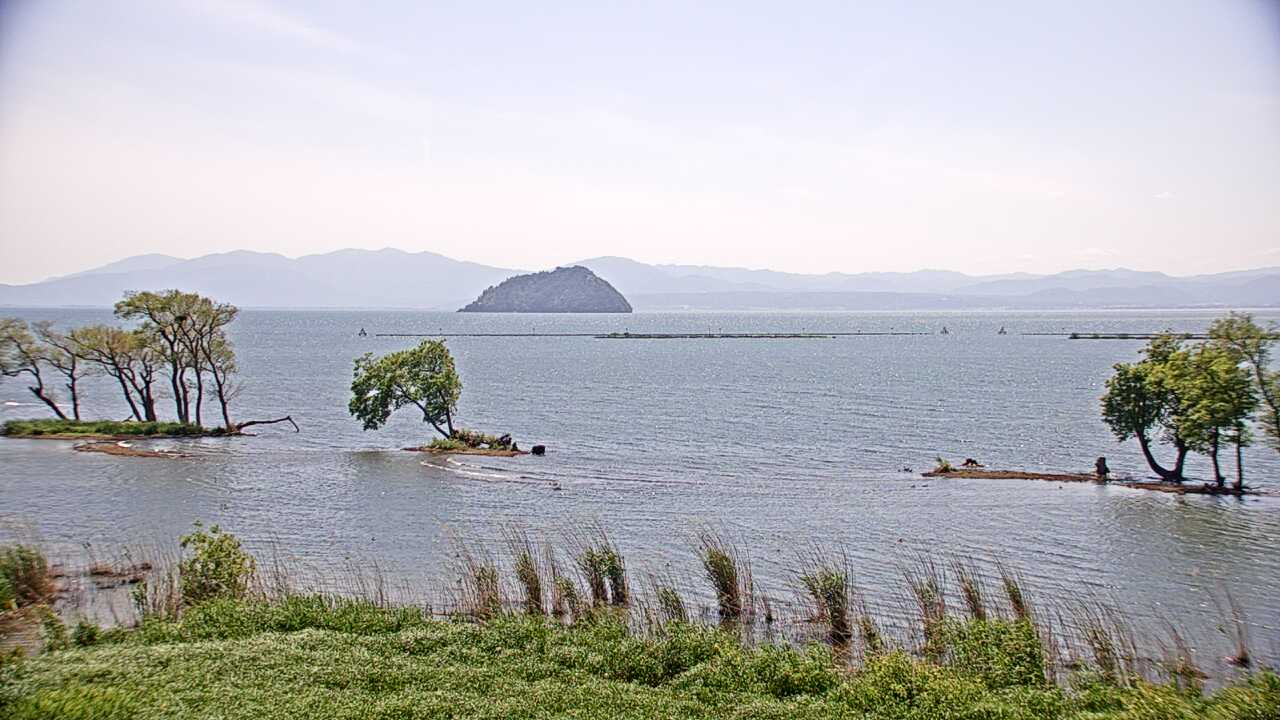 Waterbirds in Lake Biwa