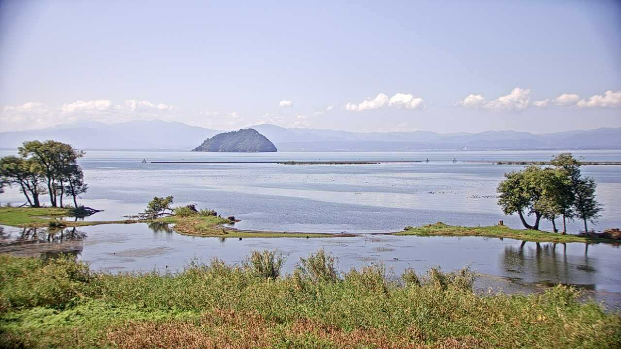 琵琶湖の水鳥