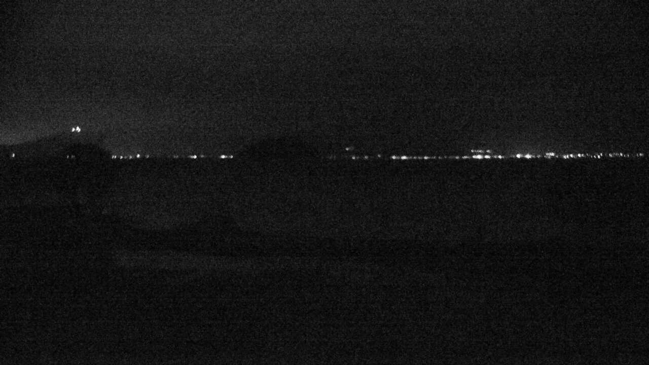 Waterbirds in Lake Biwa