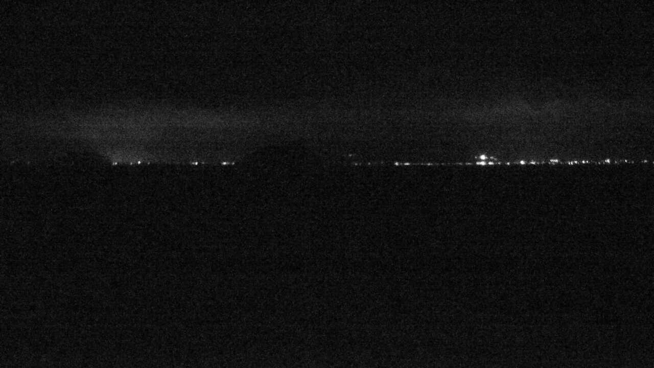 Waterbirds in Lake Biwa