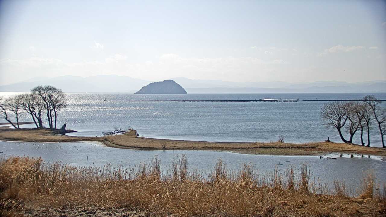Waterbirds in Lake Biwa