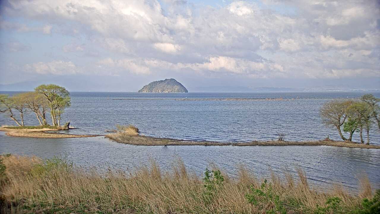 琵琶湖の水鳥