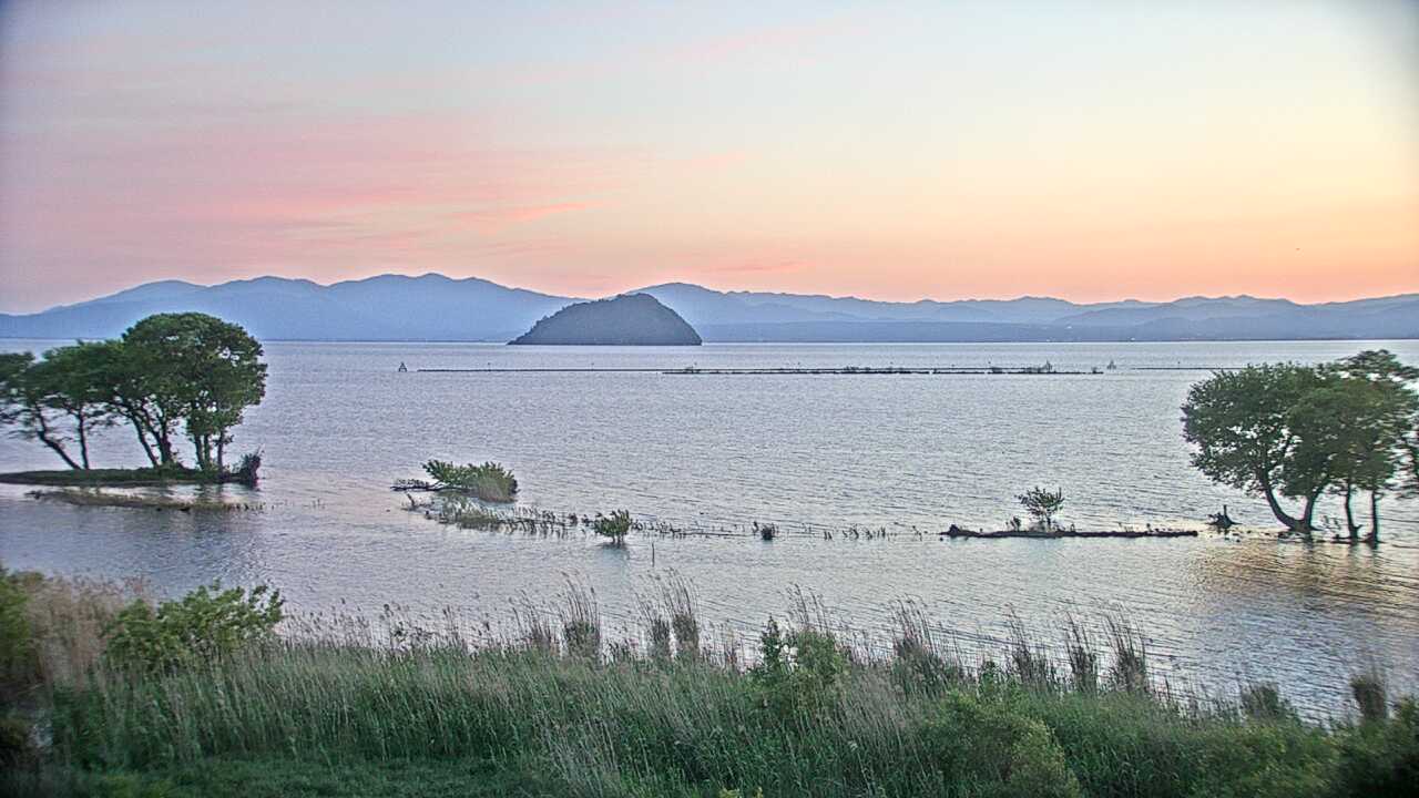 Waterbirds in Lake Biwa