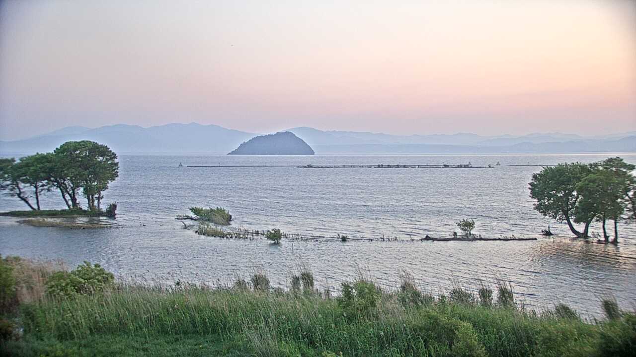 Waterbirds in Lake Biwa