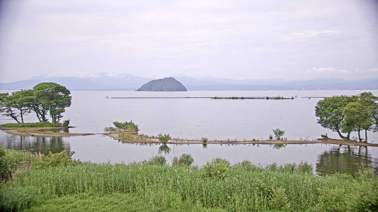 琵琶湖の水鳥