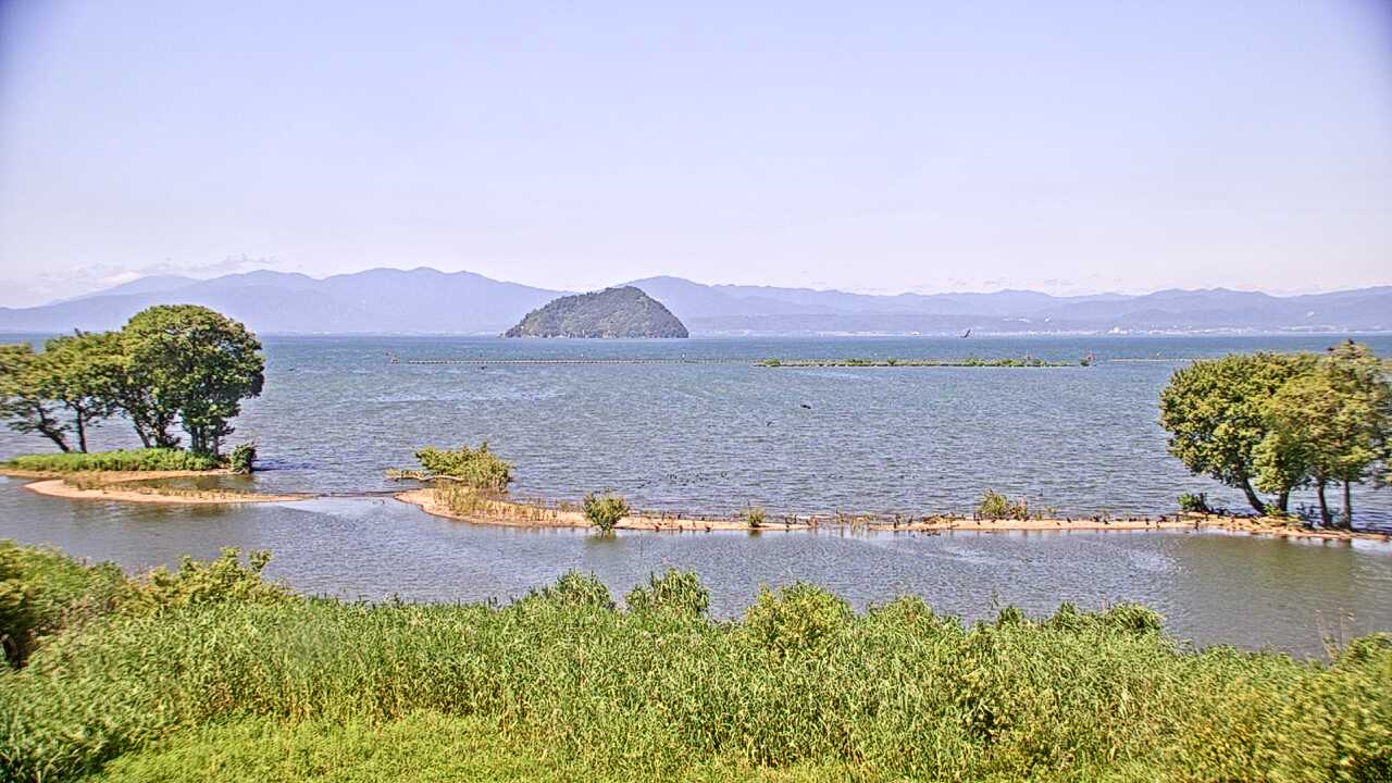 Waterbirds in Lake Biwa