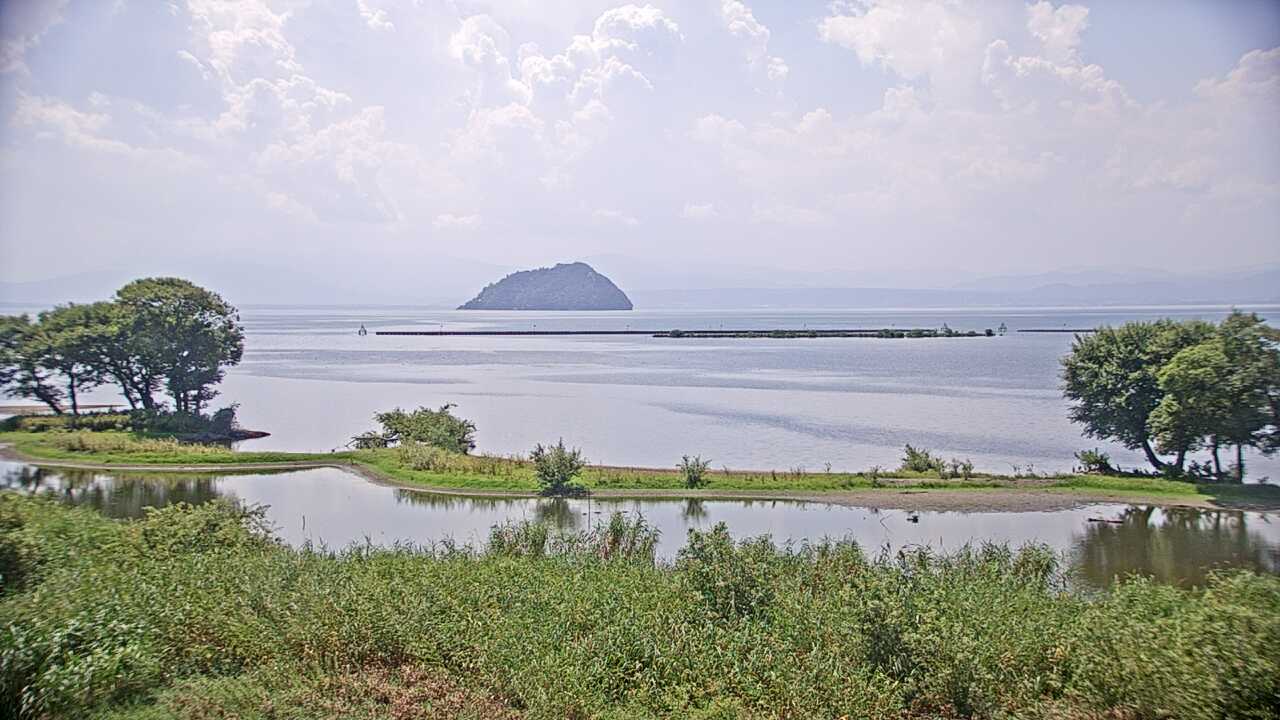Waterbirds in Lake Biwa