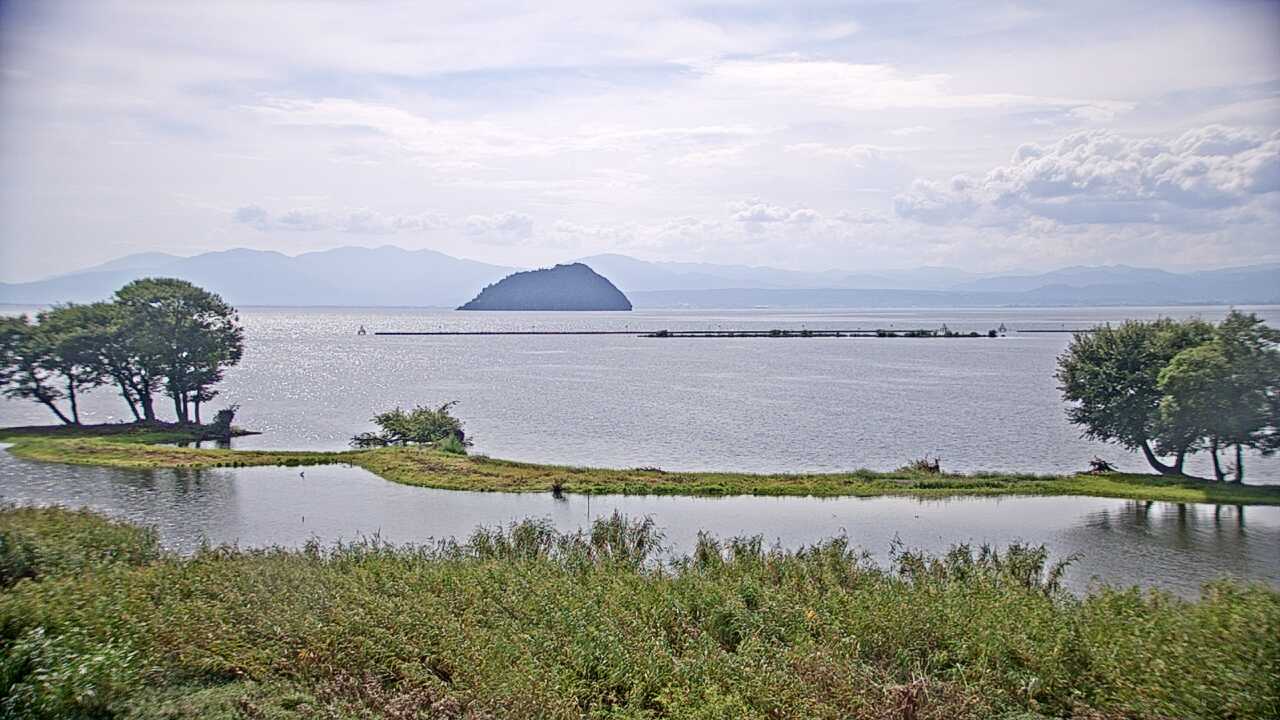 Waterbirds in Lake Biwa