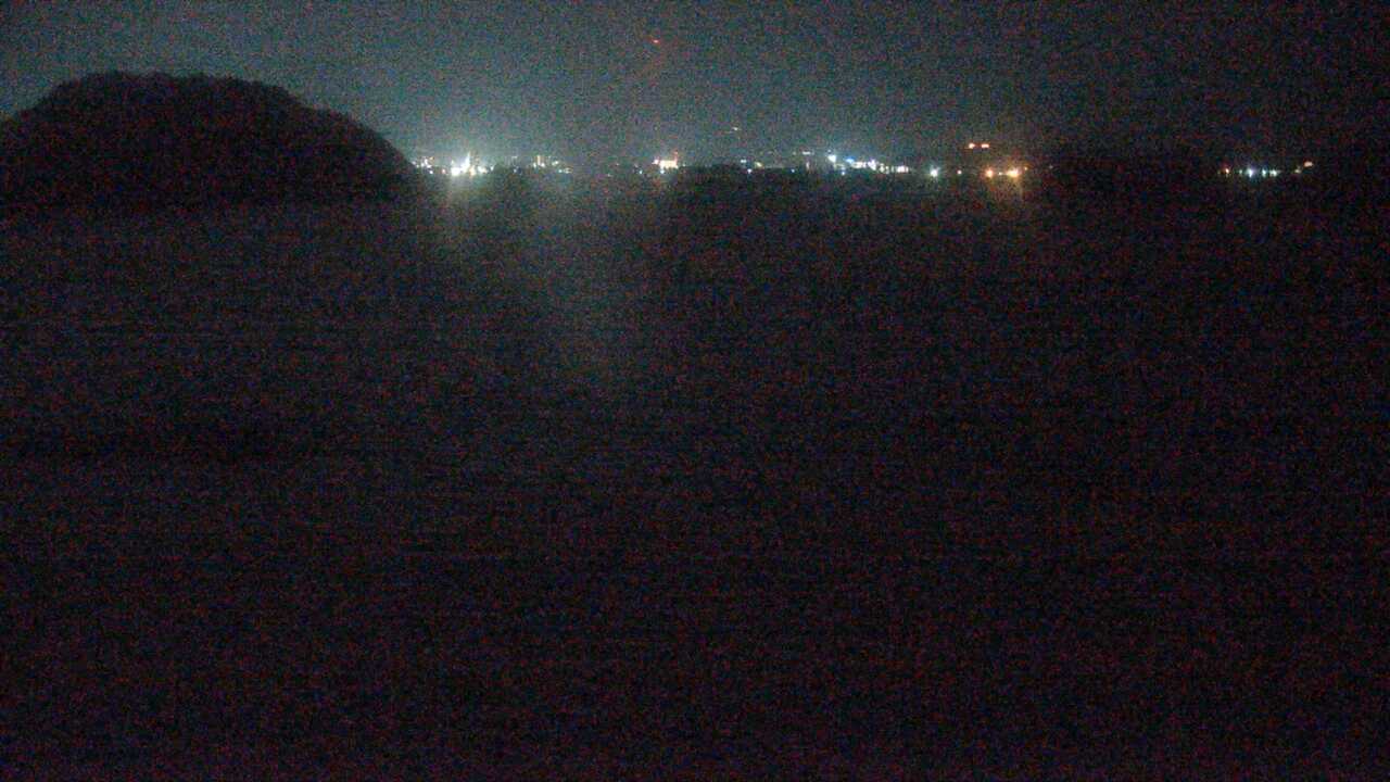 米子水鳥公園のコハクチョウ