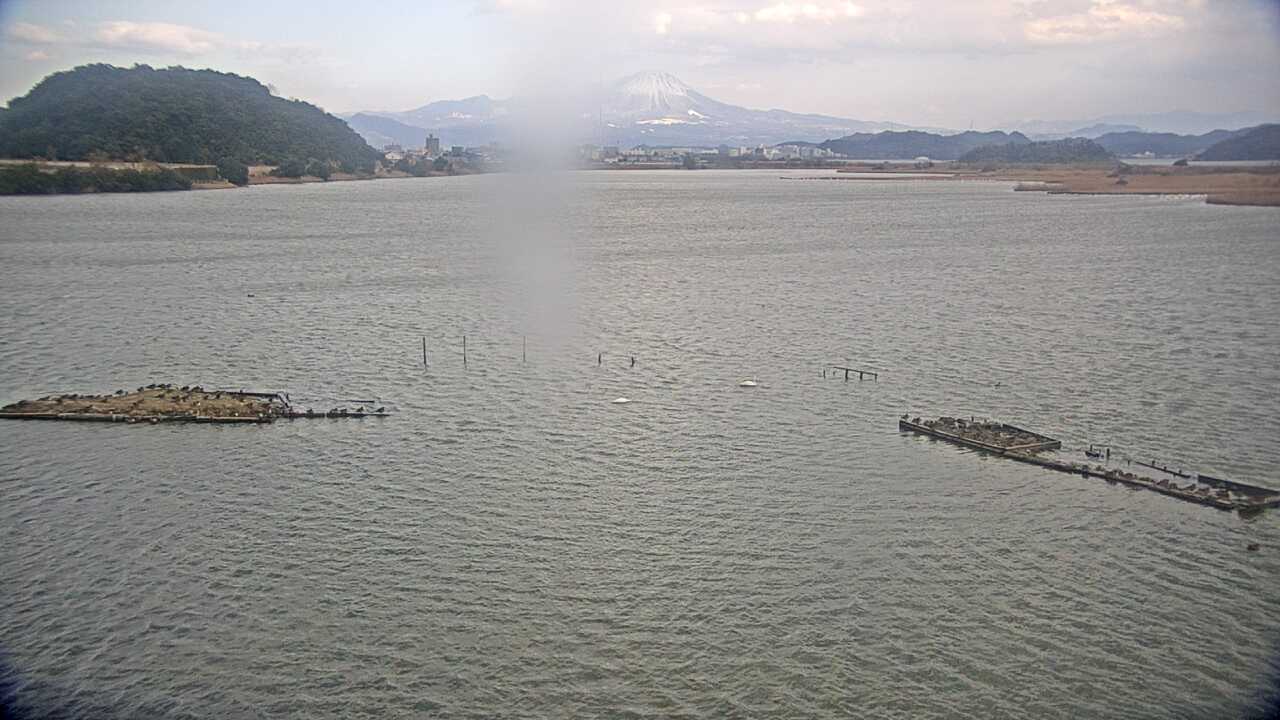Bewicks Swans at Yonago Waterbird Sanctuary