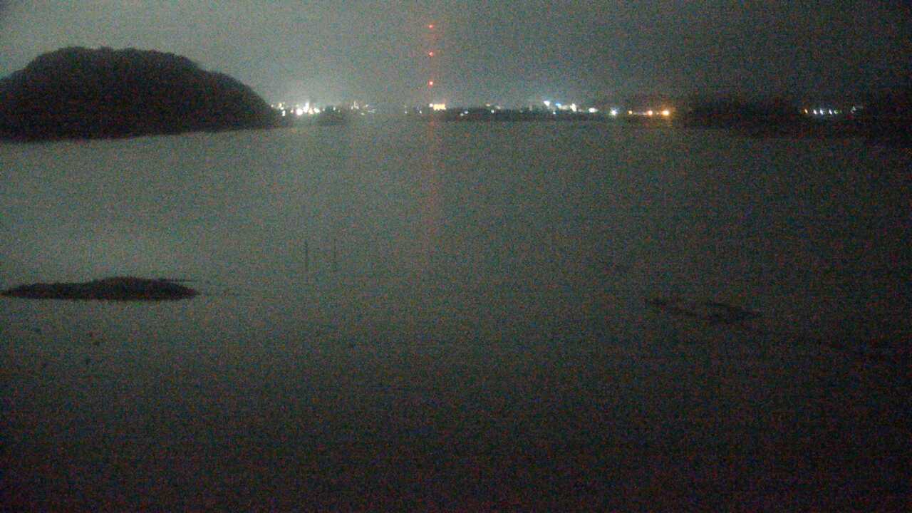 高瀬: Tottori Yonago Waterbird Sactuary