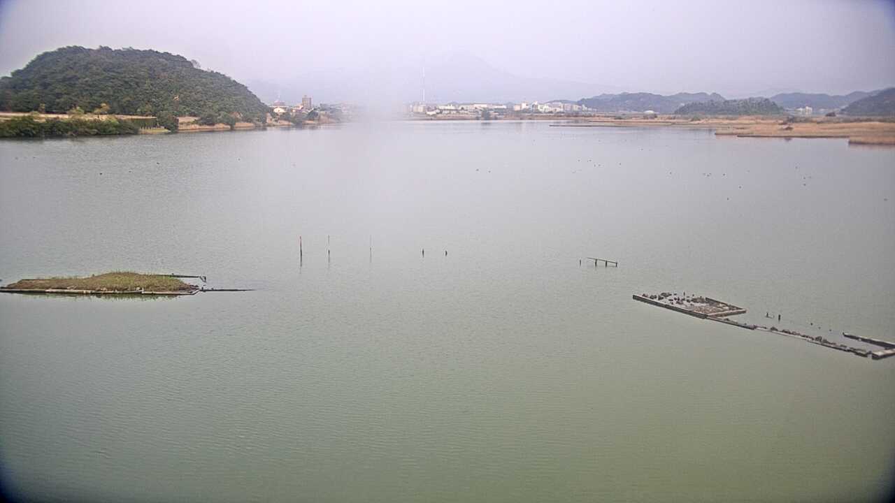 米子水鳥公園のコハクチョウ