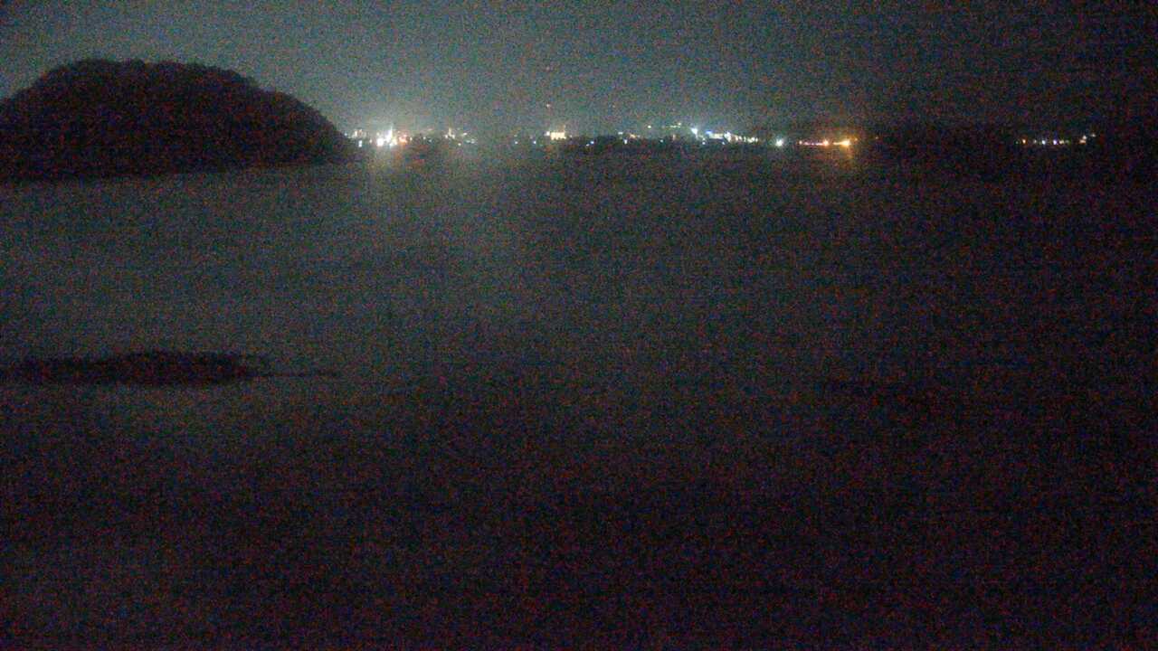 米子水鳥公園のコハクチョウ