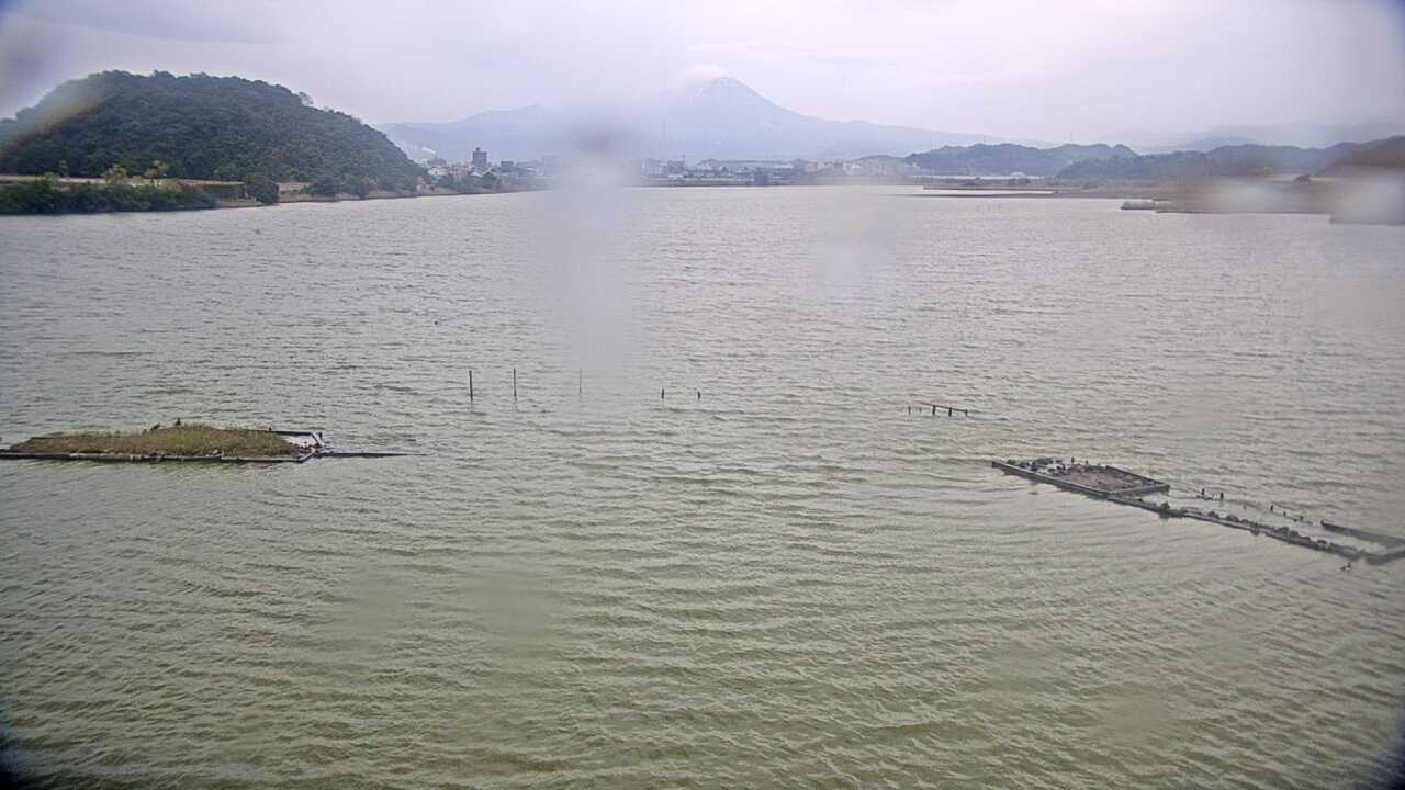 Bewicks Swans at Yonago Waterbird Sanctuary