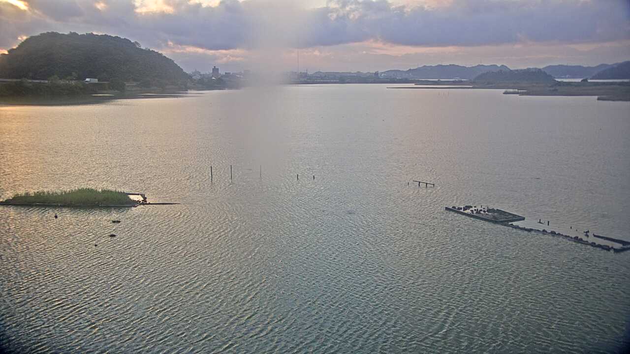 米子水鳥公園のコハクチョウ